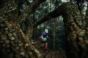 BIB: 
                            <button type="button" onclick="openModal(25671404)" class="btn btn-primary btn-sm float-right btn-popup" data-toggle="modal" data-target=".modal-high-quality">
                        <i class="fas fa-shopping-cart"></i> Add to Cart
                    </button>
                                            <button type="button" onclick="isThisMe(25671404, true)" class="btn btn-success btn-sm float-right btn-popup btn-isme hidden" data-toggle="tooltip" data-placement="bottom" title="นี่คือรูปของคุณใช่ไหม คลิกที่นี่เพื่อเอาเข้าอัลบั้ม">
                        <i class="fas fa-plus"></i> Add to album
                    </button>
                    <button type="button" onclick="isThisMe(25671404, false)" class="btn btn-warning btn-sm float-right btn-popup btn-isnotme hidden">
                        <i class="fas fa-ban"></i> Remove from album
                    </button>